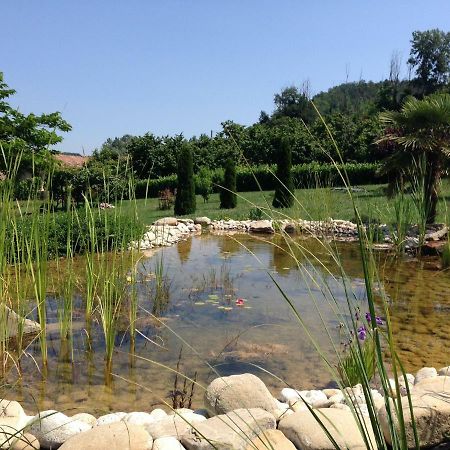 B&B Il Sogno Cossano Belbo Екстер'єр фото