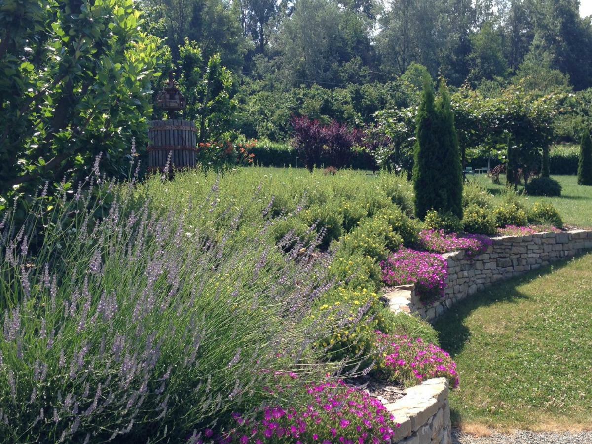 B&B Il Sogno Cossano Belbo Екстер'єр фото